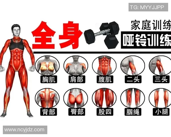 一周哑铃健身计划助你塑造完美身材与增强力量